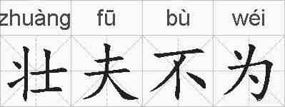 壮夫不为的拼音