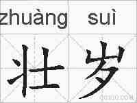 壮岁的拼音