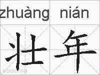 壮年的拼音