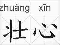 壮心的拼音
