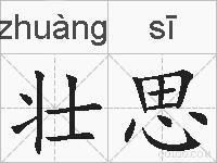 壮思的拼音