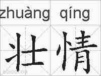 壮情的拼音