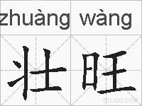 壮旺的拼音
