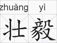 壮毅的拼音