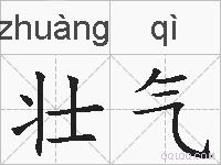 壮气的拼音