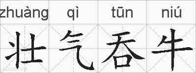 壮气吞牛的拼音
