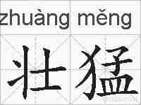 壮猛的拼音