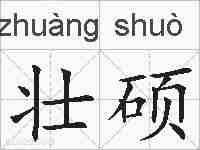 壮硕的拼音
