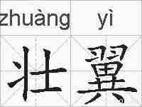 壮翼的拼音