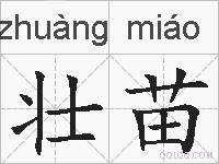 壮苗的拼音