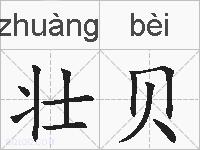 壮贝的拼音
