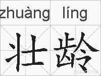 壮龄的拼音