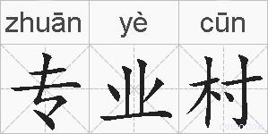 专业村的拼音