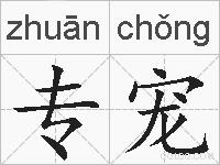 专宠的拼音