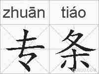 专条的拼音