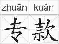 专款的拼音
