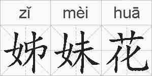 姊妹花的拼音