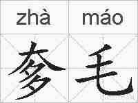 奓毛的拼音