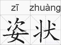 姿状的拼音