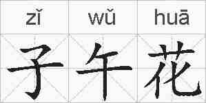 子午花的拼音