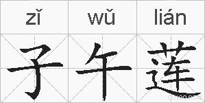子午莲的拼音
