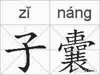 子囊的拼音
