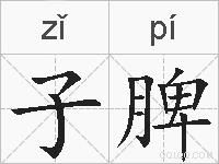 子脾的拼音