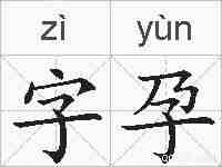 字孕的拼音