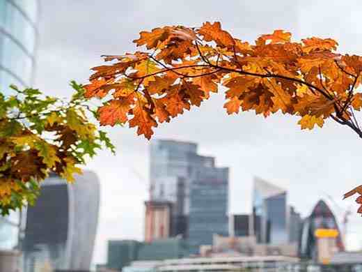 让人眼前一亮的公司名字